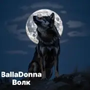 Обложка: BallaDonna - Волк
