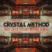 Обложка Tne Crystal Method – Busy Child