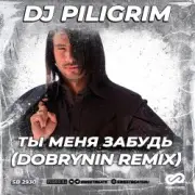 Обложка: Dj Piligrim - Ты меня забудь