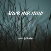 Обложка: LiQWYD - Save me now