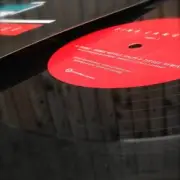 Обложка: Teebee - Human Reptile (Calyx & Teebee Remix)