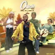 Обложка: BoyPee & Hyce & Brown Joel - Ogechi (feat. Davido) Remix
