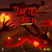 Sgee Vehnom - Tempted To Touch
