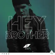 Обложка: Avicii - Hey Brother (Extended Version)
