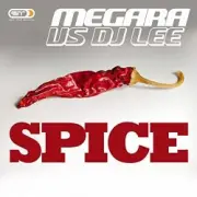 Обложка: Megara vs. DJ Lee - Spice (Single Edit)
