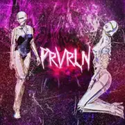 Обложка: Prvrln - Mind Feeling