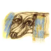 Обложка: Dolphin - Романс