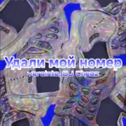 Verointe (prod. DJ Cheaz) - Удали мой номер