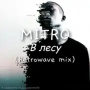 Обложка: MITRO - MITRO - В Лесу (Retrowave mix)