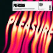 Обложка: HAWK - Pleasure (feat. Azooland)