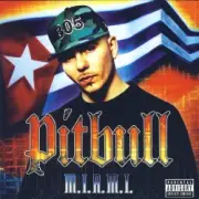 Обложка: Pitbull ft. Lil Jon - Culo