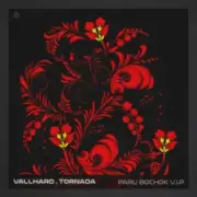 Обложка: Vallhard & Tornada - Paru Bochok V.I.P