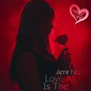Обложка: Amir Nazari - Love Alone Is The True