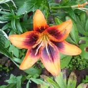 EiZ - Теперь я знаю (Что в ней такого)