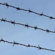 Обложка: KALUSCH & Хайповий - Небо в Концтаборі