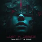 Sam Feldt & TAME - Lost In Desire