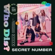 SECRET NUMBER - Who Dis