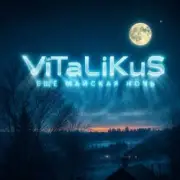 Обложка: ViTaLiKuS - Ещё майская ночь