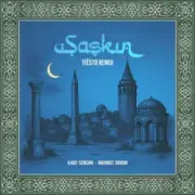 Обложка: Ilkay Sencan & Mahmut Orhan - Şaşkın (Tiësto Remix)