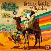 Обложка: GMS & Infected Mushroom - Arabian Knights On Mescaline