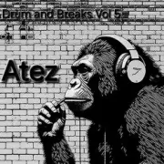 Обложка: Atez - Drum and Breaks Vol.5