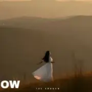 Обложка: The Shadow - The lesson of love