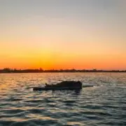 Disclosure - The Sun Comes Up Tremendous