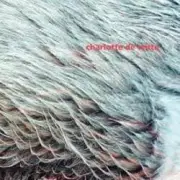 Обложка: Charlotte De Witte - Vision