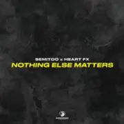 Обложка: Semitoo & HEART FX - Nothing Else Matters