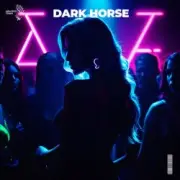 Обложка: Slawd & Vallvete - dark horse (slowed + reverb)