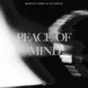 Обложка: Martin Garrix & Citadelle - Peace Of Mind