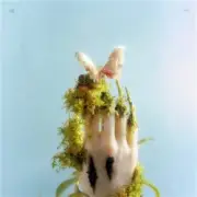 Обложка Liu Lian – Drop It High