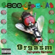 Обложка: 1-800-Dis-N-Dat - Orgasm (Dirty Bitch Mix)