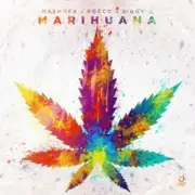 Обложка: Ziggy X - This Rox