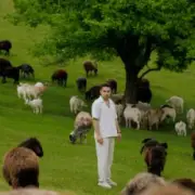 Обложка: ХАС - До зими