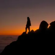 Обложка: Martin Garrix - Catharina