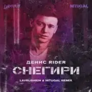 Обложка: Денис RiDer - Снегири