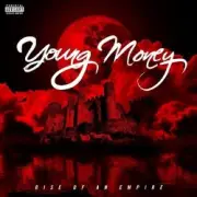 Обложка: Young Money feat. Euro, Birdman & Lil Wayne - We Alright