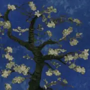 Обложка: JVKE - oh to be loved