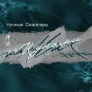 Обложка: Ночные снайперы - Цунами