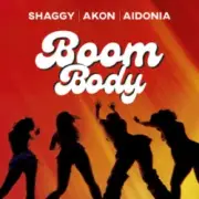 Обложка: Shaggy & Akon & Aidonia - Boom Body