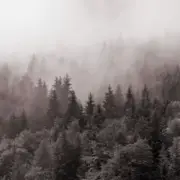 Y.K. Music - У Тумані