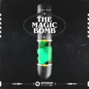 Обложка: Hoàng Read - The Magic Bomb (Questions I Get Asked) [Extended Mix]