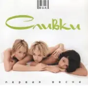 Обложка: ВИА Сливки - Ты попал (Remix)