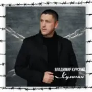 Обложка: Владимир Курский - Судьба воров