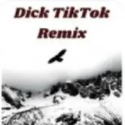 Обложка: unknown - Тык дык тыг дык шабаман Байден Байден Байден (tik tok)