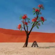 Обложка Axel Thesleff – Ashoka