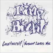 Обложка: Limp Bizkit - Counterfeit (Lethal Dose Extreme Guitar Remix)