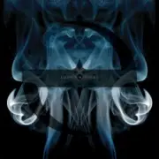 Обложка: Evanescence - A New Way To Bleed