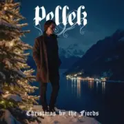 Обложка: PELLEK - Twelve days of christmas